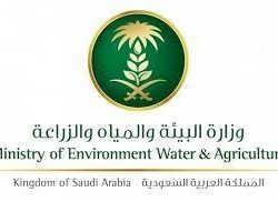 نادي سباقات الخيل ينظم الحفل الـ 70 ضمن موسم سباقات الرياض 2022