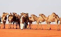 حالة الطقس المتوقعة اليوم الجمعة