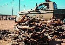 سمو الأمير تركي بن محمد بن فهد يزور محمية الشمال للصيد المستدام