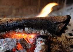 “البيئة” توقع عقدًا للانتفاع بأجهزة السونار المستخدمة في الكشف البيطري