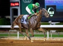 جدة تشهد انطلاق الجولة الرابعة والأخيرة من بطولة السعودية تويوتا للراليات الصحراوية لموسم 2022