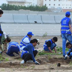 مختبر فحص متبقيات المبيدات في مهرجان الحمضيات بنجران