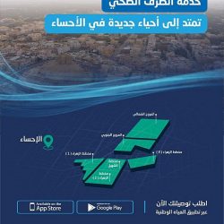 أمانة الجوف تواصل حملاتها لمعالجة التشوهات البصرية بالمنطقة