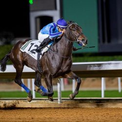 فرع هيئة الصحفيين السعوديين بالمدينة المنورة ينظم ملتقى “المتحدثين الرسميين ومديري العلاقات العامة”