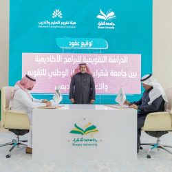 ملتقى التوظيف السادس “بتقنية البنات” بالباحة يوفر أكثر من 30 فرصة وظيفية 