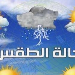 أمانة الطائف تعزز حملتها لنواتج الحفر ومخالفات البناء لتحقيق مستهدفات جودة الحياة