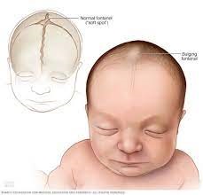 أمانة العاصمة المقدسة تطرح فرص استثمارية بمركز مدركة