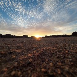 65 ورشة تدريبية وتعريفية وممكنات دعم وتحفيز في لقاءات حائل