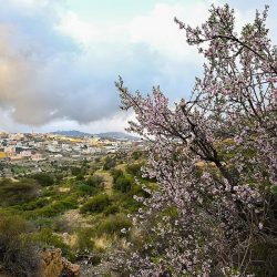 65 ورشة تدريبية وتعريفية وممكنات دعم وتحفيز في لقاءات حائل