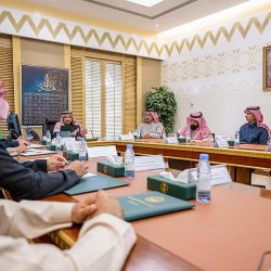 “البيئة” تحذر من الرعي الجائر وتحث على تعزيز الوعي المجتمعي للحفاظ على الغطاء النباتي