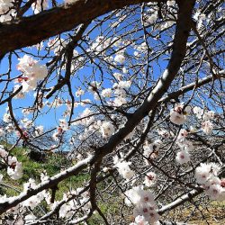 مركز الملك سلمان للإغاثة يُطلق الحملة الشعبية عبر منصة “ساهم” لمساعدة المتضررين من الزلزال في سوريا وتركيا