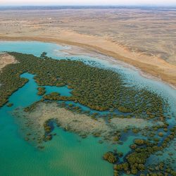 هيئة الأدب والنشر والترجمة تُنهي استعداداتها لتنظيم “مهرجان الكُتّاب والقرّاء” في المنطقة الشرقية