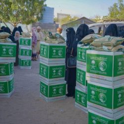 سمو الأمير فيصل بن خالد بن سلطان يستقبل المشاركين في ورشة السلامة المرورية