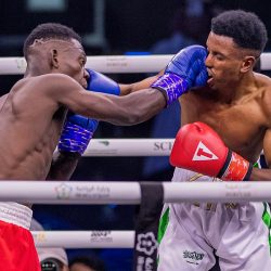 فريق الصقور السعودية يختتمُ مشاركتَه باحتفالات اليوم الوطني لدولة الكويت بعروض جوية