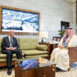 صفقات بـ13 مليوناً في 4 أيام بـ”مزاد الإبل بالجوف”.. أسواق والمتوقع أكثر