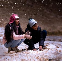 اتحاد الهجن يعلن آلية المشاركة في سباقات “كأس العلا”