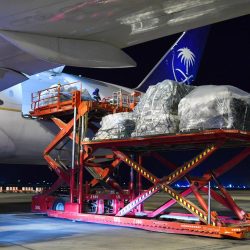 “وقاء‬” : لا أضرار على المحاصيل الزراعية نتيجة إنتشار “الجراد النطاط” في العاصمة المقدسة.