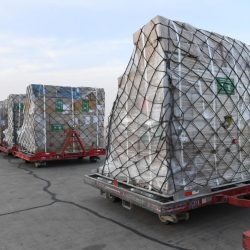 الهلال غيض من فيض