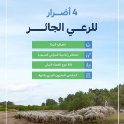 صناعة الإنسان ودور المعلم في ضوء الرؤية الوطنية 2030