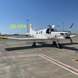 المجلس الدولي للتمور يعقد اجتماعات الدورة الثانية ويعتمد مشاريع وخطط عمل 2023م