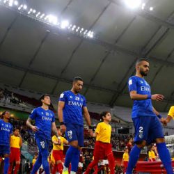 “وقاء‬” : لا أضرار على المحاصيل الزراعية نتيجة إنتشار “الجراد النطاط” في العاصمة المقدسة.