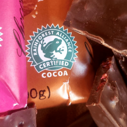 أرباح بنك الرياض ترتفع 25% إلى 2.03 مليار ريال في الربع الرابع