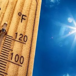 معالي وزير الموارد البشرية والتنمية الاجتماعية يُكرم الفائزين في الدورة العاشرة لجائزة الأميرة صيتة بنت عبد العزيز الاحد