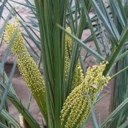 “الأرصاد”: تقلبات جوية تشهدها معظم مناطق المملكة من السبت إلى الأربعاء المقبل