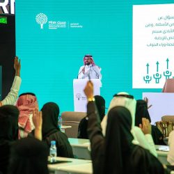 سياحة وترفيه / الأجواء الربيعية تجذب الأهالي والزوار لارتياد المتنزهات والحدائق بمنطقة عسير