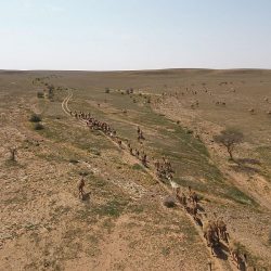 انتعاش الحركة التجارية في أسواق منطقة الباحة مع قرب حلول شهر رمضان