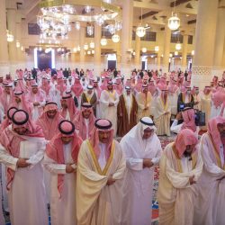 استمرار تركيب الشرائح الإلكترونية اللجنة المنظمة لكأس العلا للهجن تعلن شروط المشاركة في الماراثون