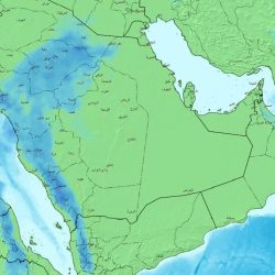 شرطة الرياض تُوقف أباً عنّف بناته وتحيله إلى النيابة