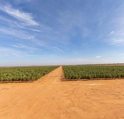 بمشاركة 3 بنوك محلية بنك المنشآت يطلق مبادرة ” تمويلك في يومين”