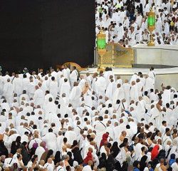 وقاء الجوف يضبط عددٍ من مخالفي نقل وتداول فسائل النخيل