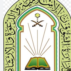 المملكة تدعم تمكين التقنيات الحديثة في القطاع البحري