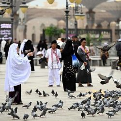 “الصحة”: تسجيل 89 حالة إصابة بكورونا.. وتعافي 60 خلال الـ24 ساعة الماضية