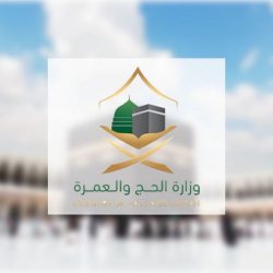 هطولات وحبات بَرَد تُسْبَق برياح.. “الحصيني”: “المطرية” مستمرة وهذه مناطقها