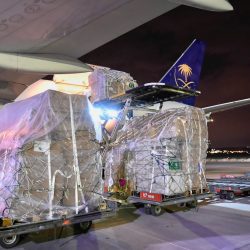 تجمع الأحساء الصحي ينظم مؤتمر متخصص في طب الأطفال حديثي الولادة