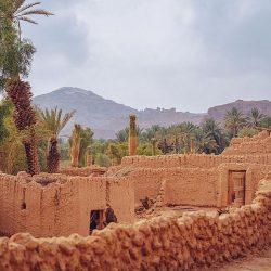 وزارة الصناعة والثروة المعدنية تشارك في ملتقى “بيبان 2023” والمعرض المصاحب