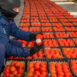 “⁧#النيابة_العامة⁩”: السجن 10 أعوام وغرامة 10 ملايين عقوبة الغش في الأجهزة والمستلزمات الطبية.