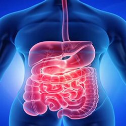 “إيداع”: تطبيق إجراءات المصدر على الأوراق المالية لصكوك الحكومة السعودية بالريال