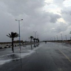 معرض الشرقية للكتاب 2023 يخوض في دهاليز صناعة المحتوى المعرفي