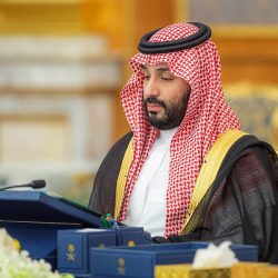 المملكة تحصل على 94.4% في تدقيق أمن الطيران والمركز السابع على دول مجموعة العشرين بمجال أمن الطيران