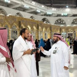 أمانة الطائف تكثف تعزيزاتها وحملاتها الميدانية للقضاء على الحشرات الناقلة للحمى