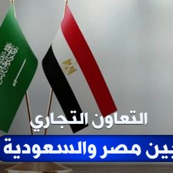 الرئيس المصري يغادر جدة