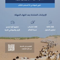 برنامج تبيان ودلالة لخدمة قاصدي المسجد الحرام