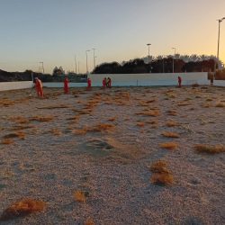 أمير الشرقية يسلم 76 وحدة سكنية لمستفيدي جمعية البر بالشرقية ويكرم الداعمين