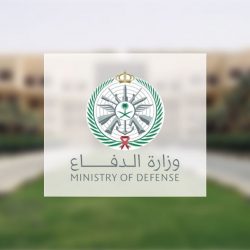 تنفيذًا لتوجيه القيادة.. سفن عملاقة تواصل خوض البحر الأحمر لإجلاء العالقين في السودان