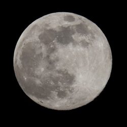 المركز الوطني للتعليم الإلكتروني يدعو للإبلاغ عن برامج التعليم والتدريب الإلكتروني غير المرخصة