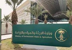 الهيئة السعودية للتخصصات الصحية تقيم حفل معـايدة لمنسـوبيها بعيد الفطر المبارك